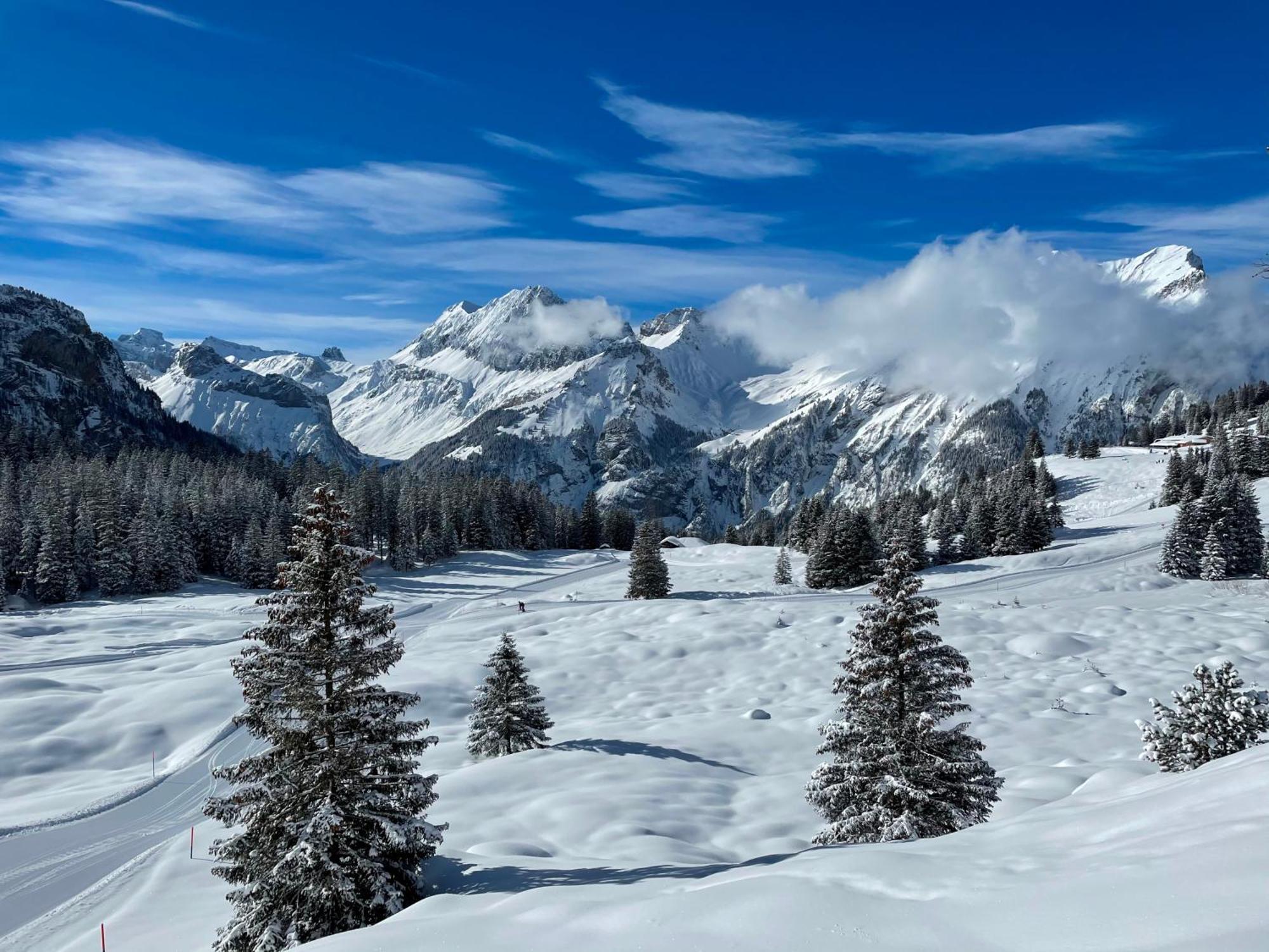 Seilers Vintage Hotel & Spa Kandersteg Zewnętrze zdjęcie