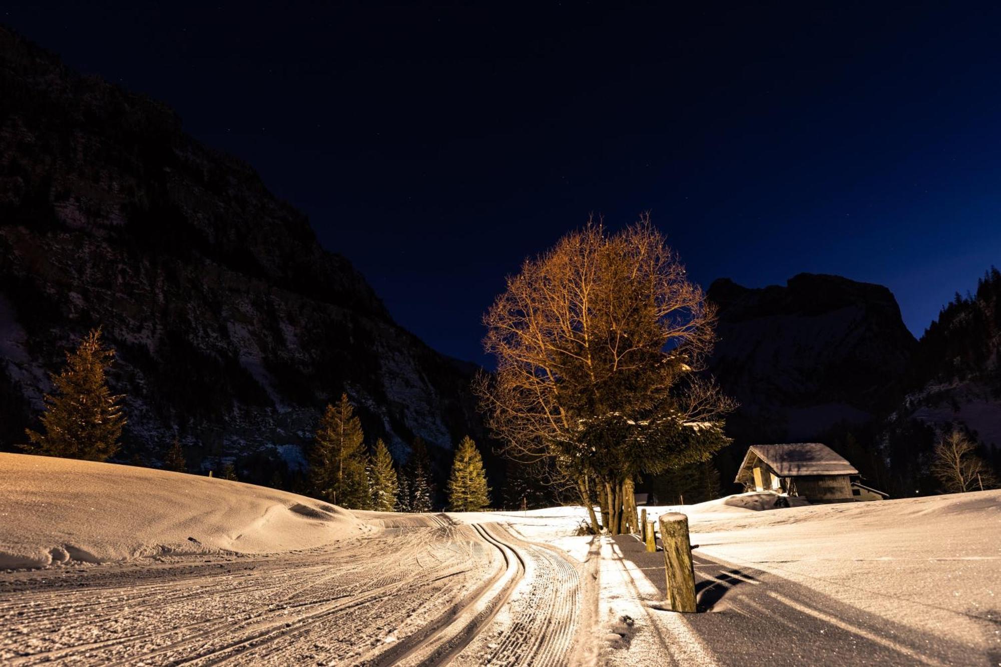 Seilers Vintage Hotel & Spa Kandersteg Zewnętrze zdjęcie