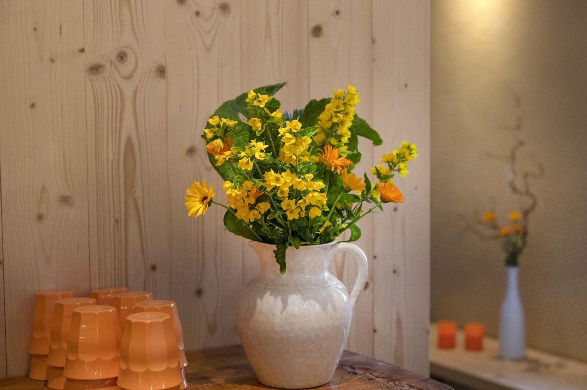 Seilers Vintage Hotel & Spa Kandersteg Zewnętrze zdjęcie
